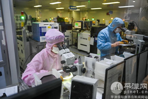 数字浪潮春潮涌——平潭信息技术咨询服务企业开年展现蓬勃气象